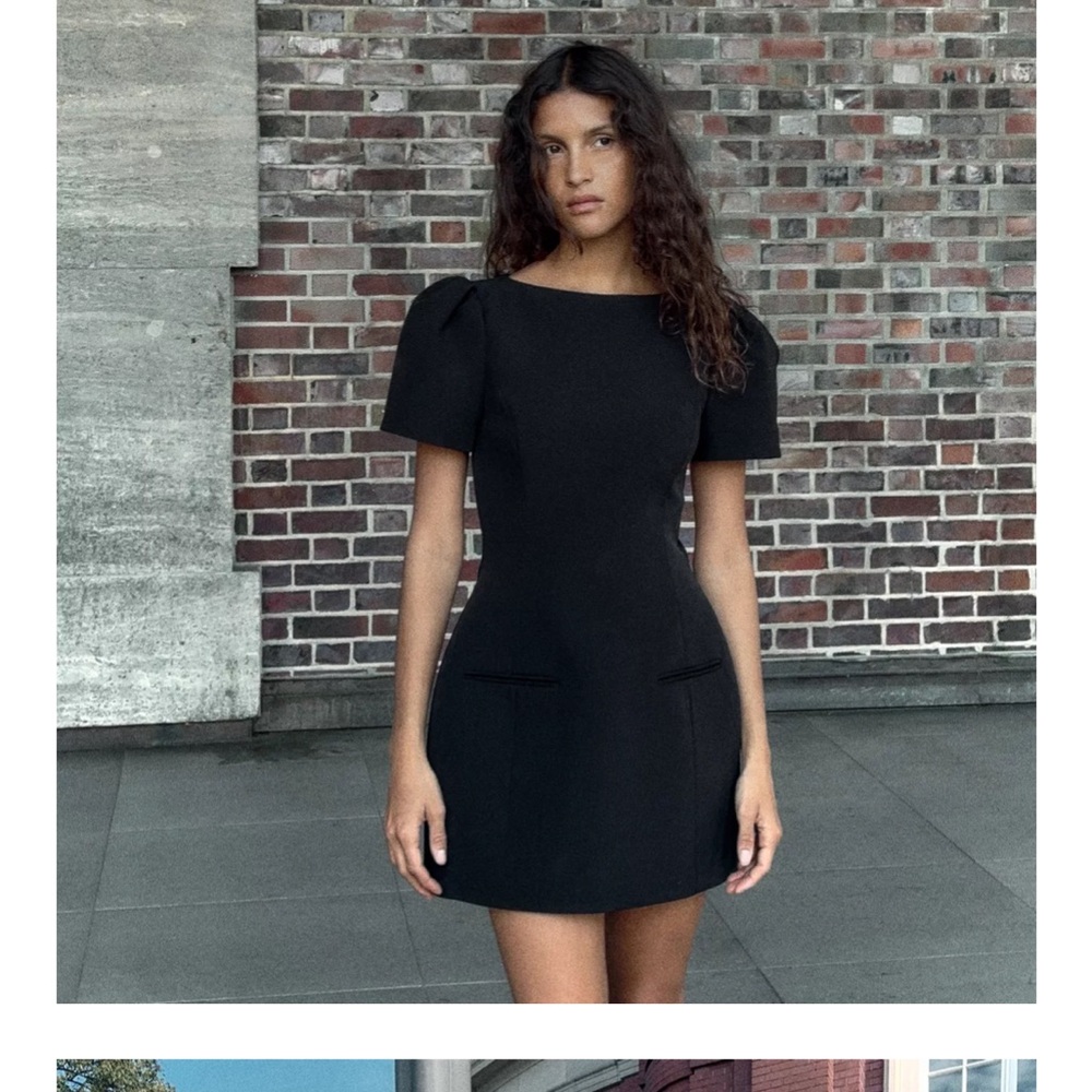 Zara Short Pleated Pocket Dress